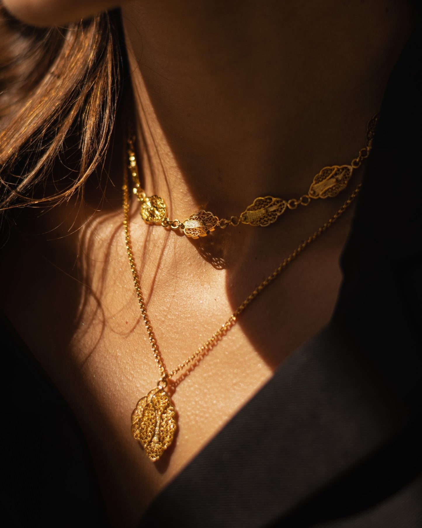 Collar Herbaria